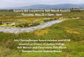 Carpinteria Salt Marsh Reserve Tour & Nature Walk
