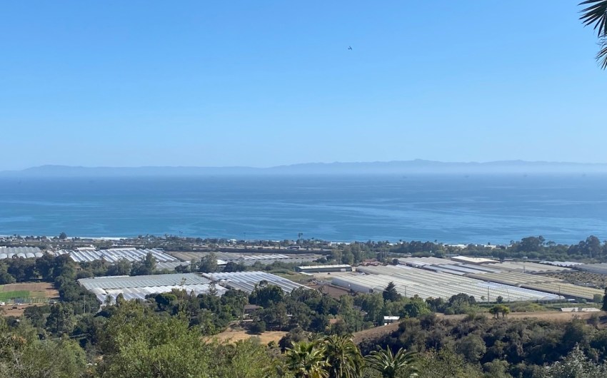 Reality Check: Santa Barbara County Supes Cut $1.4 Million in Cannabis-Related Costs