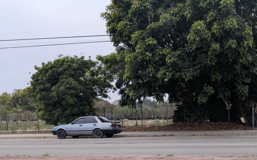 ICE Back in Santa Barbara and Goleta Ahead of Fourth of July